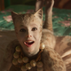 Taylor Swift as a cat. Cataylor Swift.